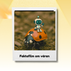 Pyssel -Guide skapa faktafilm om våren