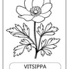 Pyssel - målarbok svenska blommor